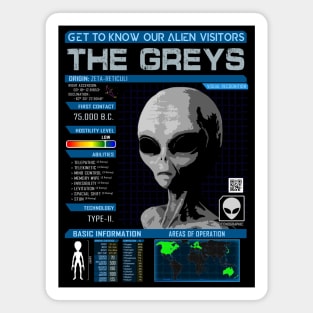 Our Alien Visitors: The Greys Magnet